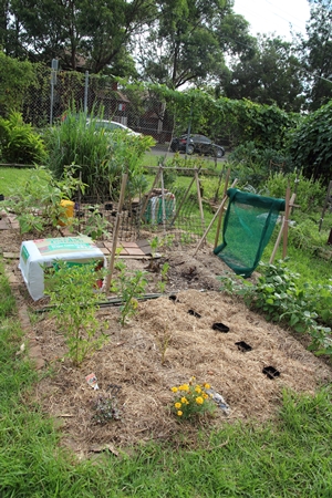 A small garden plot