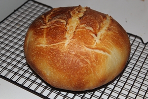 My first sourdough loaf